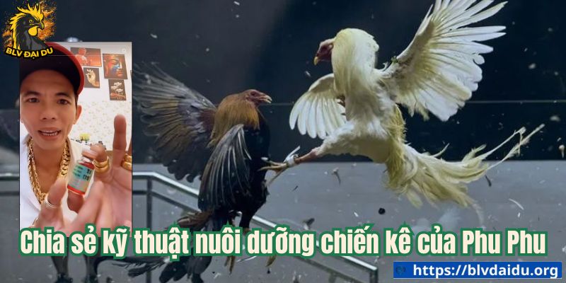 Phu Phu - Đẳng Cấp Một Huyền Thoại - ta66