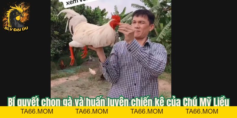 Chú Mỹ Liều - Sát Thủ Trường Đấu Đầy Kinh Nghiệm - ta66