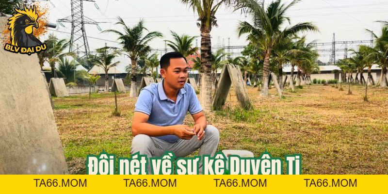 Chiến Lược Đỉnh Cao - Sư Kê Huyền Thoại - ta66