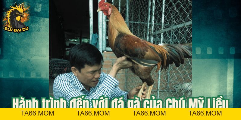 Chú Mỹ Liều - Sát Thủ Trường Đấu Đầy Kinh Nghiệm - ta66