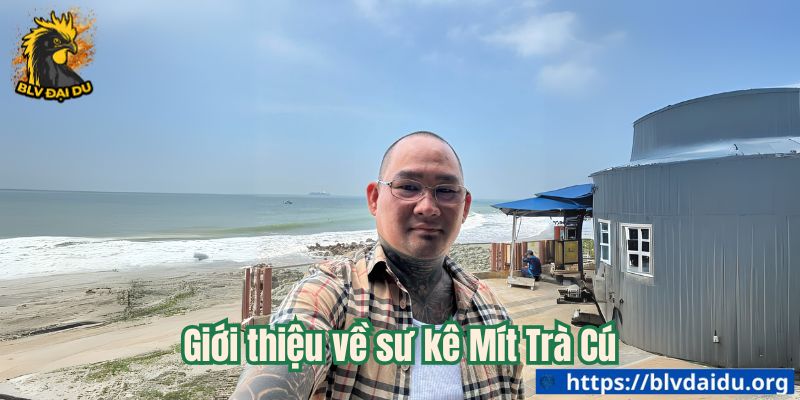 Mít Trà Cú - Tên Tuổi Lừng Lẫy Trong Làng Đá Gà - ta66