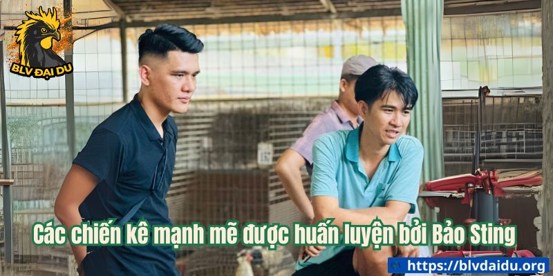Bảo Sting - Ông Trùm Wala - ta66