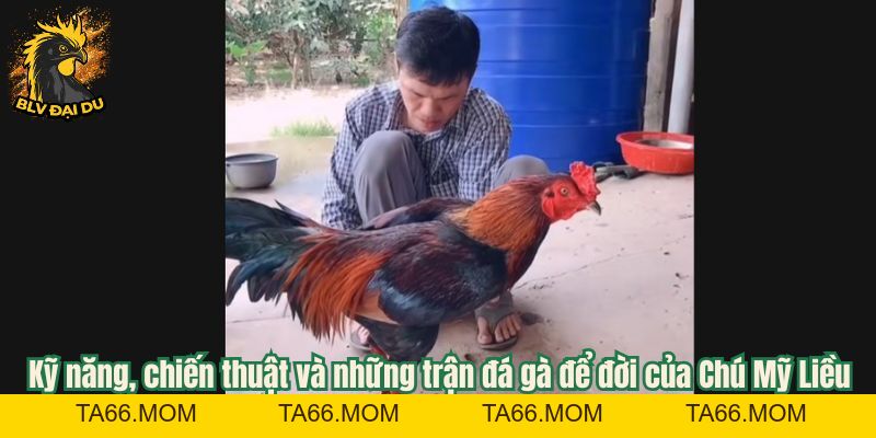 Chú Mỹ Liều - Sát Thủ Trường Đấu Đầy Kinh Nghiệm - ta66