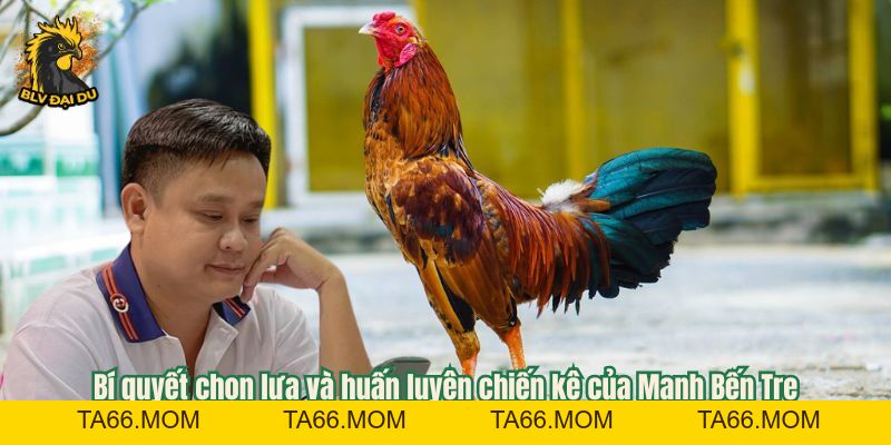 Mạnh Bến Tre - Bậc Thầy Chiến Lược - ta66