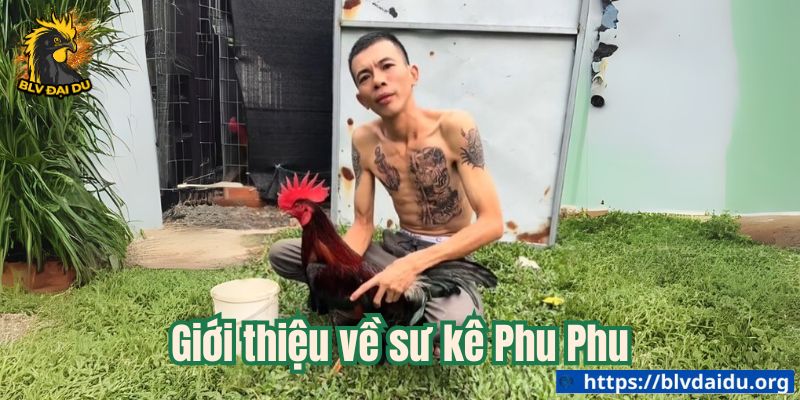 Phu Phu - Đẳng Cấp Một Huyền Thoại - ta66