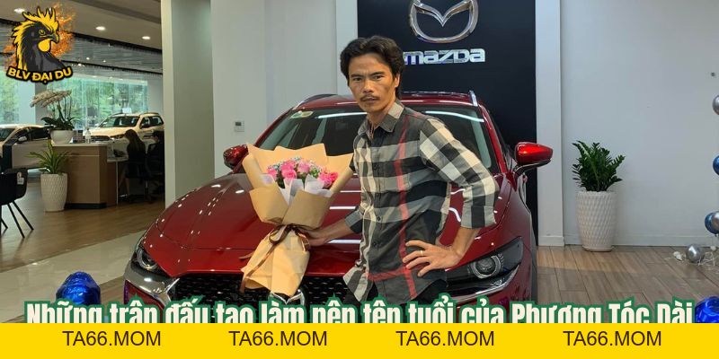 Phương Tóc Dài - Lão Làng Cự Phách Giới Cựa Sắt Thomo - ta66