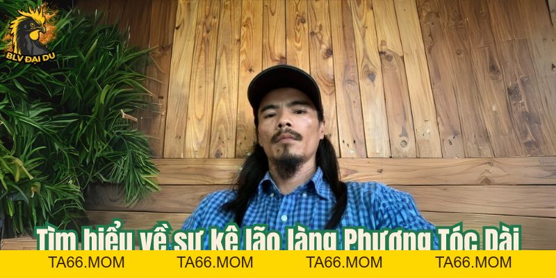 Phương Tóc Dài - Lão Làng Cự Phách Giới Cựa Sắt Thomo - ta66