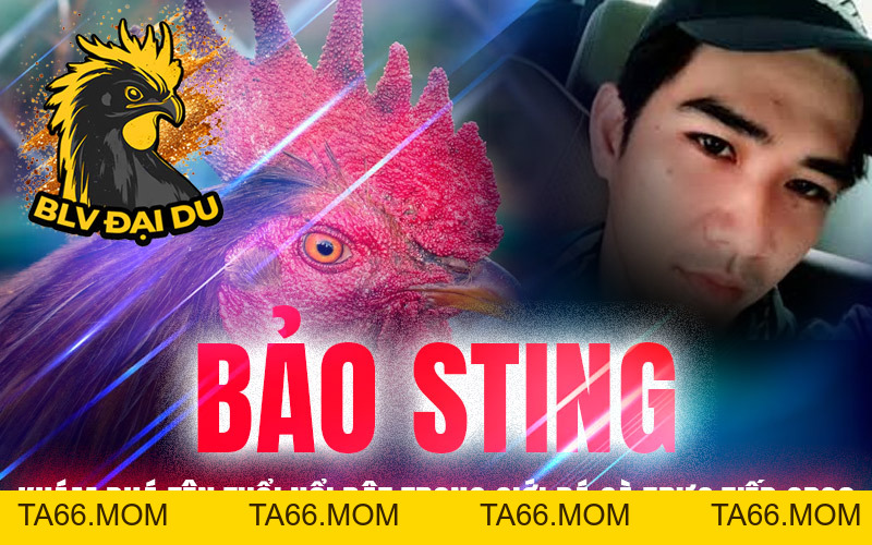 Phu Phu - Đẳng Cấp Một Huyền Thoại - ta66