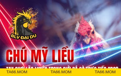 Blog Archives - BLVDAIDU Org - ta66