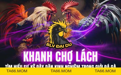 Blog Archives - BLVDAIDU Org - ta66