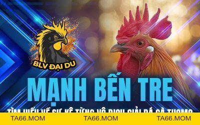 Blog Archives - BLVDAIDU Org - ta66