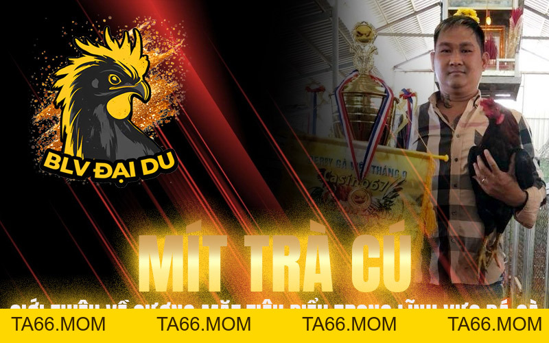 Mít Trà Cú - Tên Tuổi Lừng Lẫy Trong Làng Đá Gà - ta66 Mít Trà Cú - Tên Tuổi Lừng Lẫy Trong Làng Đá Gà - ta66