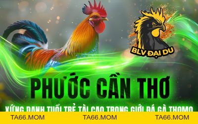 Blog Archives - BLVDAIDU Org - ta66