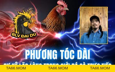 Blog Archives - BLVDAIDU Org - ta66