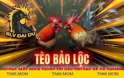 Blog Archives - BLVDAIDU Org - ta66