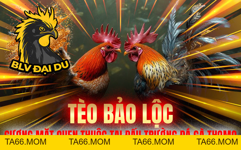 Bảo Sting - Ông Trùm Wala - ta66