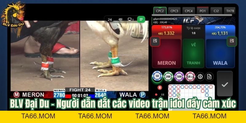 Video Trận Idol - Tổng Hợp Các Trận Đá Gà Đỉnh Cao Cùng BLV Đại Du - ta66