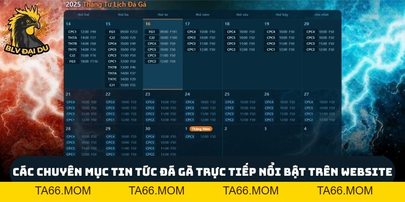 Tin Tức Đá Gà Trực Tiếp Độc Quyền Chỉ Có Tại Trang Web Của BLV Đại Du - ta66