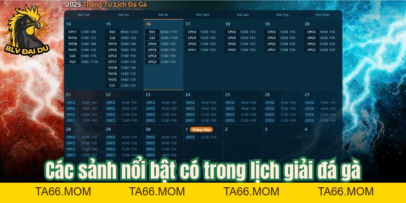 Lịch Giải Đá Gà Tại Website BLV Đại Du - Cập Nhật Nhanh Chóng Và Đầy Đủ - ta66