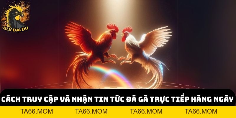 Tin Tức Đá Gà Trực Tiếp Độc Quyền Chỉ Có Tại Trang Web Của BLV Đại Du - ta66