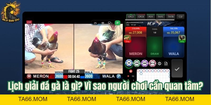 Lịch Giải Đá Gà Tại Website BLV Đại Du - Cập Nhật Nhanh Chóng Và Đầy Đủ - ta66