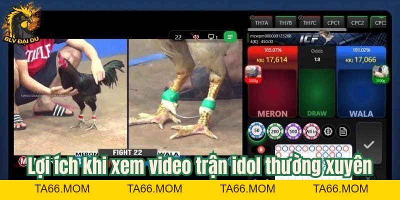 Video Trận Idol - Tổng Hợp Các Trận Đá Gà Đỉnh Cao Cùng BLV Đại Du - ta66