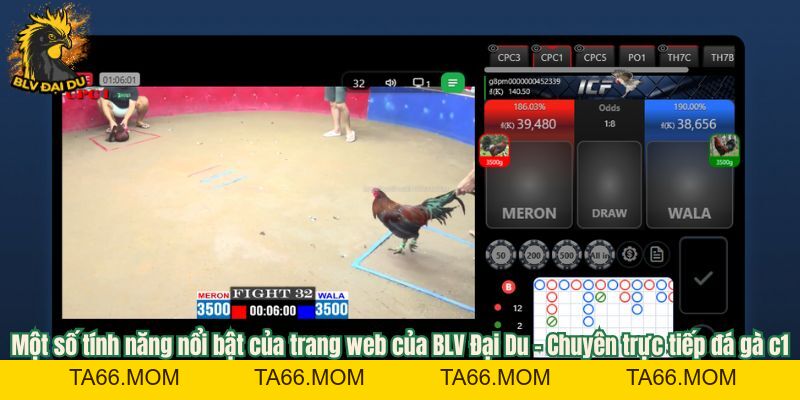 Trực Tiếp Đá Gà C1 - Cùng BLV Đại Du Khám Phá Bồ Gà Lớn Nhất Hiện Nay - ta66