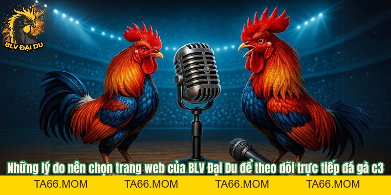 Tìm Hiểu Hình Thức Trực Tiếp Đá Gà C3 Tại Trang Web Của BLV Đại Du - ta66
