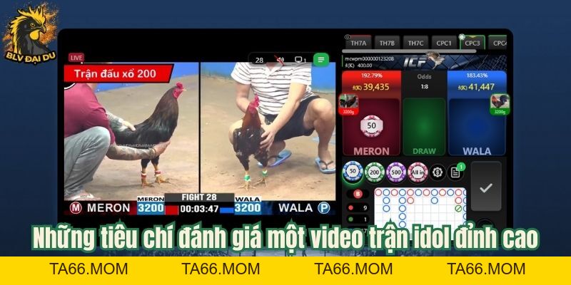 Video Trận Idol - Tổng Hợp Các Trận Đá Gà Đỉnh Cao Cùng BLV Đại Du - ta66