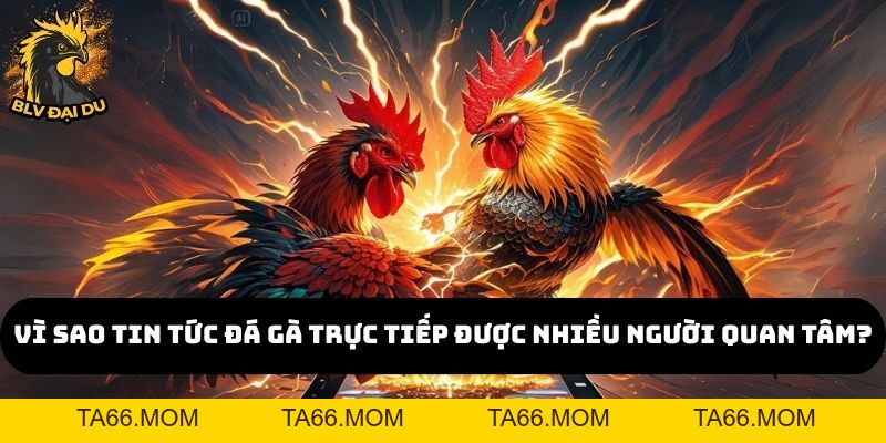 Tin Tức Đá Gà Trực Tiếp Độc Quyền Chỉ Có Tại Trang Web Của BLV Đại Du - ta66